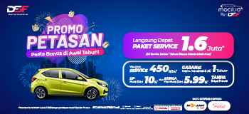 Promo Petasan