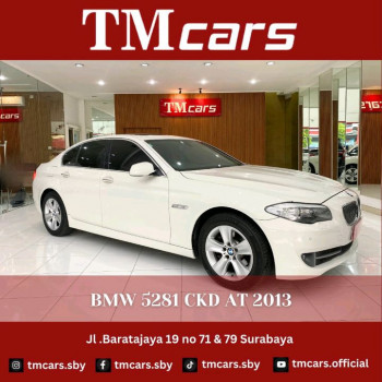 BMW Serie 5 F10 528i Automatic 2013