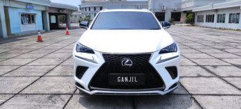 Lexus RX 2.0L 300 F Sport Automatic 2019
